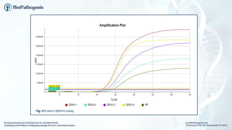 qPENTA DenV Profile BPX™: Targeting Dengue Confidently