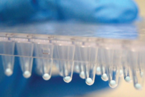 Lyophilization: Process, Benefits and Applications