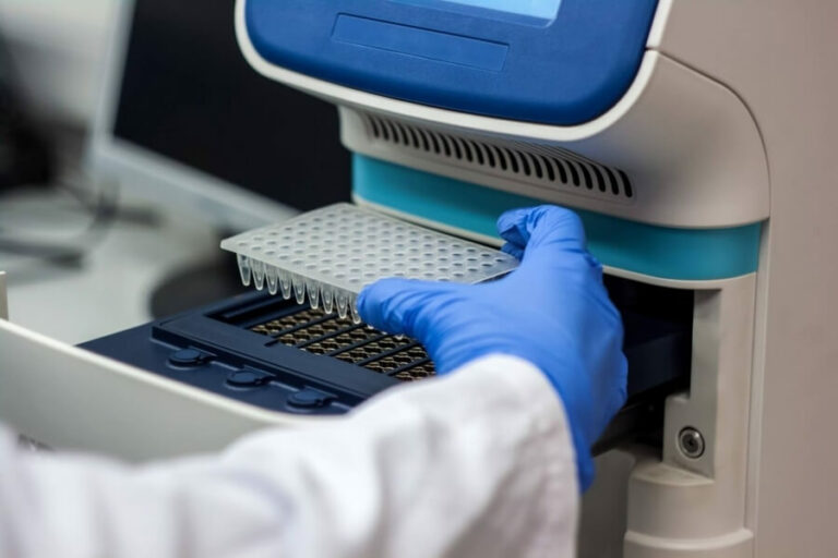 PCR and qPCR: Differences Explained