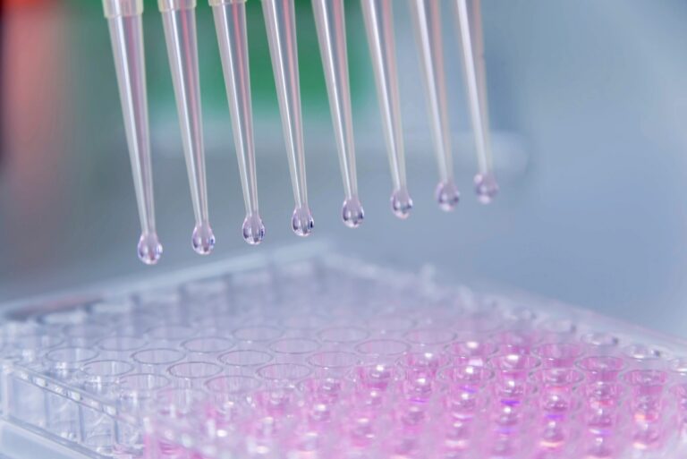 PCR: A Comprehensive Guide