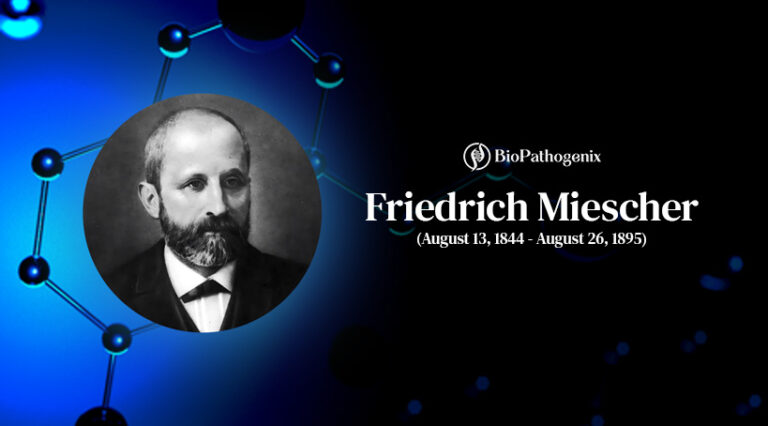 The Pioneering Discoveries of Friedrich Miescher: Unveiling the Secrets of Nucleic Acids