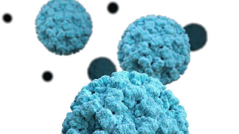 NOROVIRUS: INDEPENDENT HIGHLIGHT