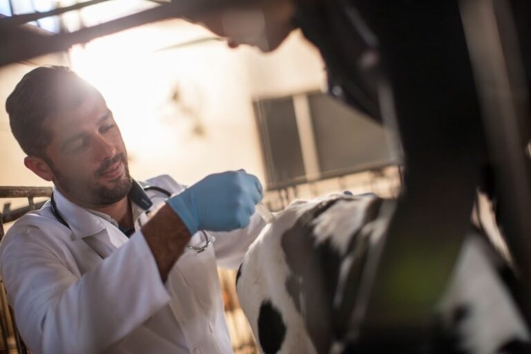 Zoonotic Diseases: Risks, Detection, and Prevention