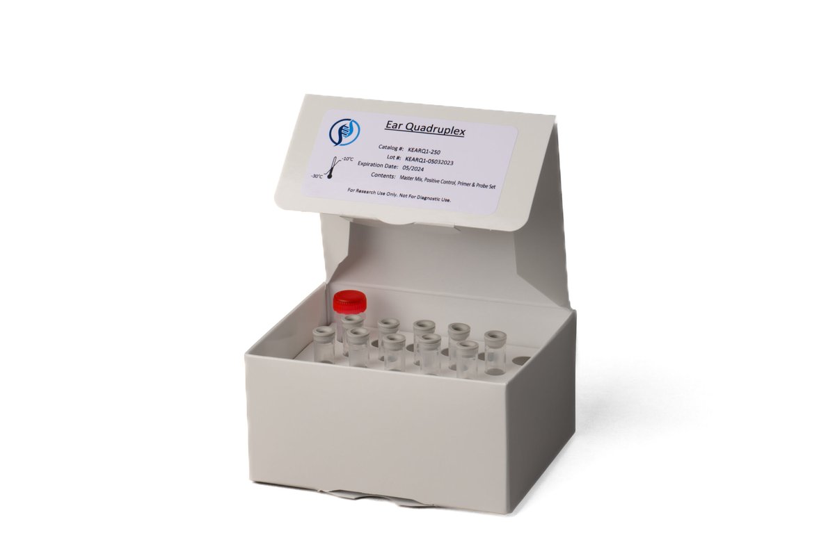 Ear infection Assay