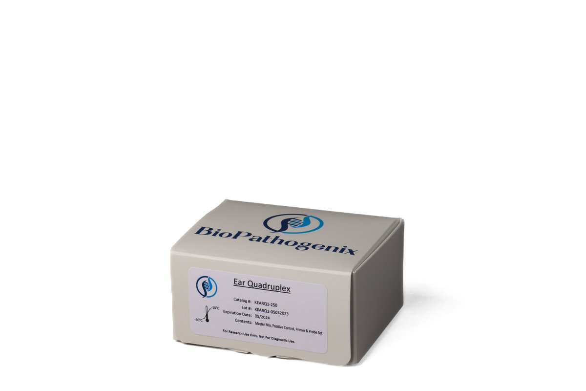 Ear infection Assay