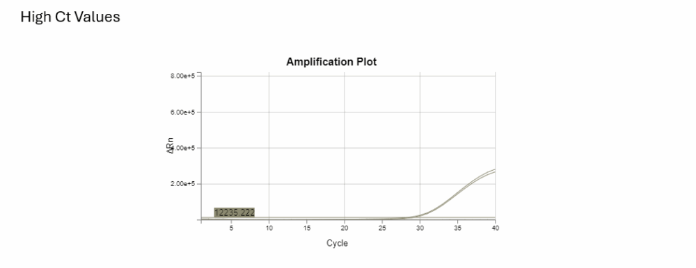Amplification plot showing a late, high Ct value amplification curve