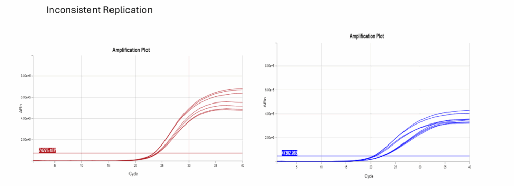 Amplification plot comparison showing inconsistent replicate curves
