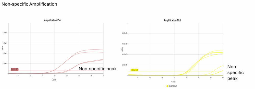 Amplification plot comparison showing non-specific peaks