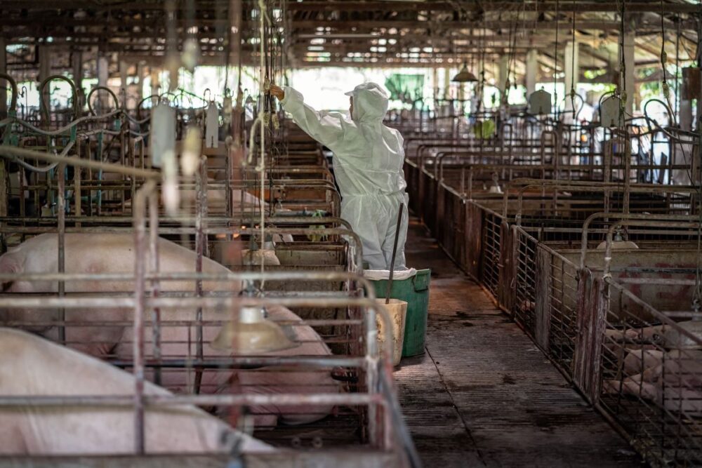 Livestock facility surveillance and disease monitoring